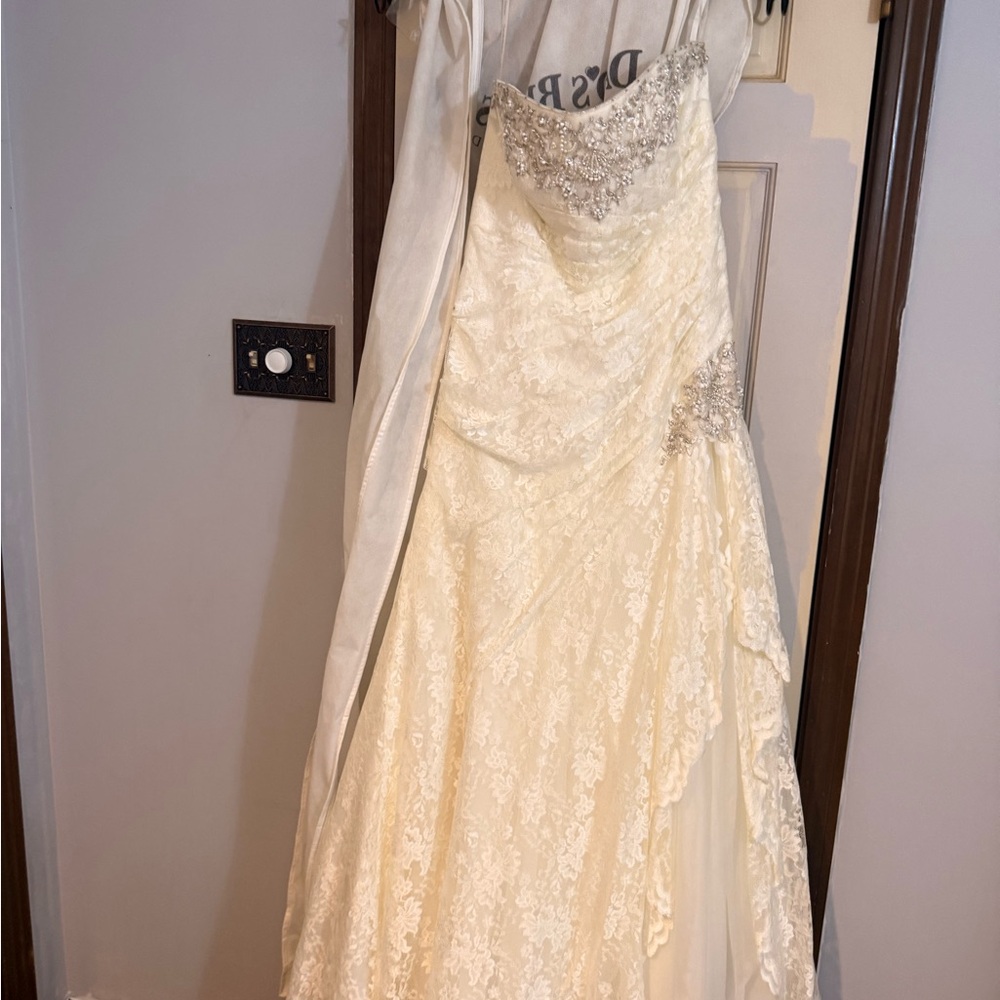 David's Bridal Ivory Wedding Gown